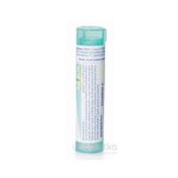 ARSENICUM ALBUM gra hom 200CH