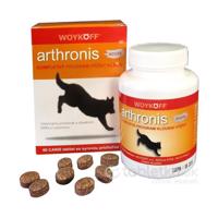 Arthronis ACUTE tablety CANIS so syrovou príchuťou 60tbl