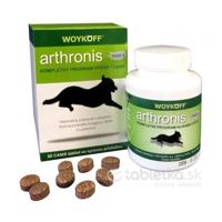 Arthronis FÁZA 2 tablety CANIS so syrovou príchuťou 60tbl