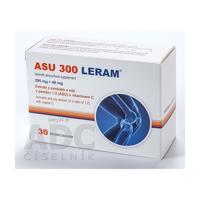 ASU 300 LERAM