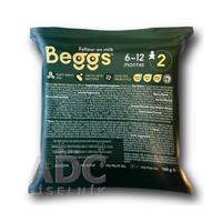 Beggs 2