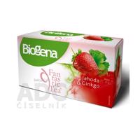 Biogena Fantastic Tea Jahoda & Ginkgo