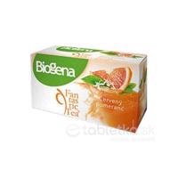 Biogena Majestic Tea Aloe Vera & Ostružina 20x2,5 g