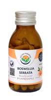 Boswellia serrata - kadidlovník - 60 kapslí Doplnok stravy