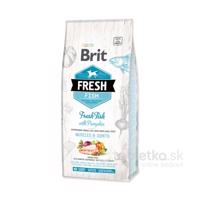 Brit Fresh Adult Large granule ryba s tekvicou 12kg