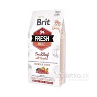 Brit Fresh Puppy Large granule hovädzie s tekvicou 2,5kg