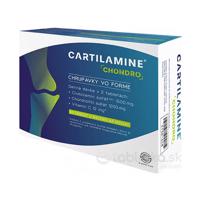 Cartilamine Chondro 60 tabliet