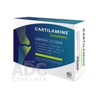 CARTILAMINE CHONDRO