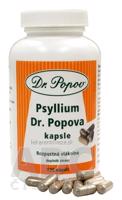 DR. POPOV PSYLLIUM cps 1x120 ks