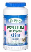 DR. POPOV PSYLLIUM SLIM cps 1x120 ks