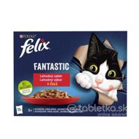 Felix Fantastic Multipack kapsičky mäsový výber v želé 12x85g