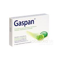 GASPAN 90mg/50mg 14tbl.