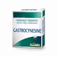 GASTROCYNESINE 60 tabliet