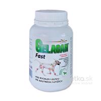 Gelacan Fast 150g