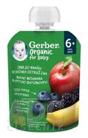 Gerber Organic Kapsička Jablko, banán, čučoriedka bio ovocná desiata (od ukonč. 6. mesiaca) 1x90 g