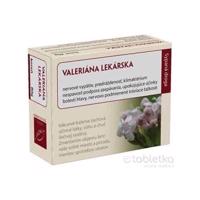 HANUS VALERIÁNA LEKÁRSKA KOREŇ vákuové bal. 80 g