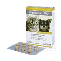 HepatoSan 700mg 21g 30ks