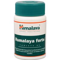 HIMALAYA Rumalaya forte 60 tabliet