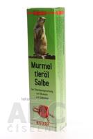 holzhacker Svištia masť (Murmel tieröl Salbe) 1x75 ml