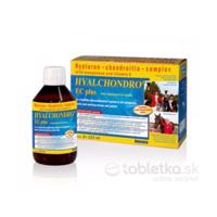 Hyalchondro EC plus doplnok výživy pre kone 2x225ml