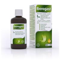 IBEROGAST 100 ml