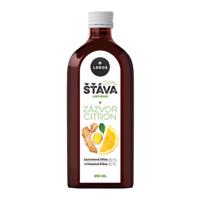 LEROS 100% šťava zázvor citrón 250 ml