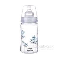 Lovi fľaša Trends Botanic 3m+, 240ml