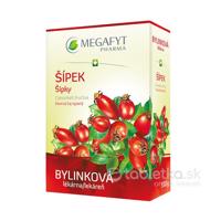 MEGAFYT Bylinková lekáreň ŠÍPKY 20 x 3,5 g