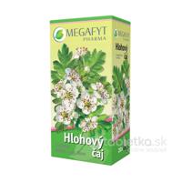 MEGAFYT Hlohový čaj 20x1,5g