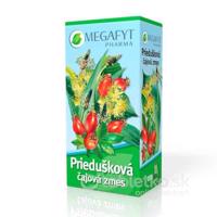 MEGAFYT Priedušková čajová zmes 20 x 1,5 g