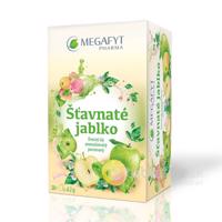 MEGAFYT Šťavnaté jablko ovocný čaj 20x2g