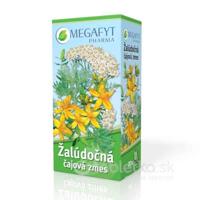 MEGAFYT Žalúdočná čajová zmes spc (záparové vrecúška) 20x1,5 g (30 g)