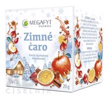 MEGAFYT Zimné čaro ovocný čaj, porciovaný 10x2 g (20 g)