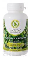 MORINGA Moringa Caribbean (standard) cps 1x60 ks