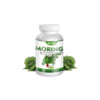 MORINGA Oleifera 90 kusov