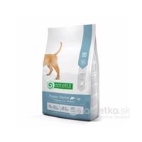 Natures P dog puppy starter salmon all breeds 2kg