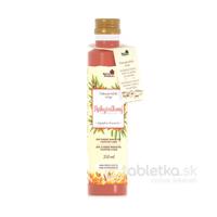 NaturProdukt sirup Rakytníkový 250ml