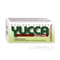 NATURVITA YUCCA 500 mg Yucca shidigera 1x60ks