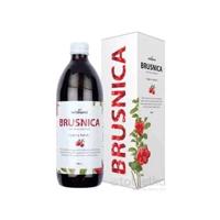 nefdesanté BRUSNICA 1x500ml