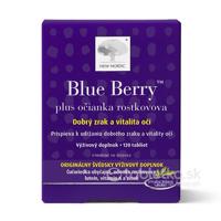 NEW NORDIC Blue Berry 1x60ks