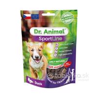 Pamlsok pre psov Dr. Animal kačica 100g