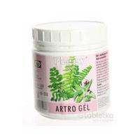 PEGGY ARTRO GÉL 1x500g