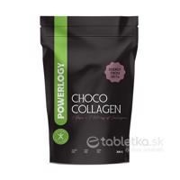 POWERLOGY Choco Collagen 300g