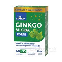 Revital GINKGO BILOBA FORTE 60 tbl