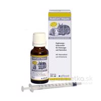 RodiCare Hepato 20ml