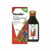 SALUS Floradix sirup 250 ml