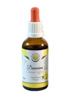 Salvia Paradise Damiána - Turnera diffusa tinktúra - 50 ml