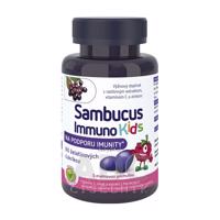 Sambucus Immuno Kids