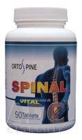 SPINAL VITAL tbl 1x90 ks