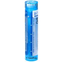 STRAMONIUM gra 1x4g (9CH)